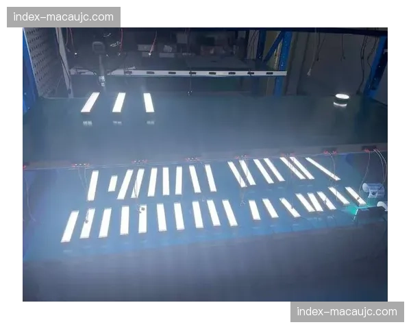 机器视觉辅助车辆引导 交通疏散效率得到结构改善